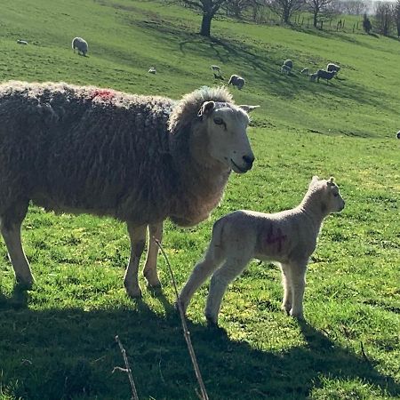 Great LongstoneCounting Sheep公寓 外观 照片